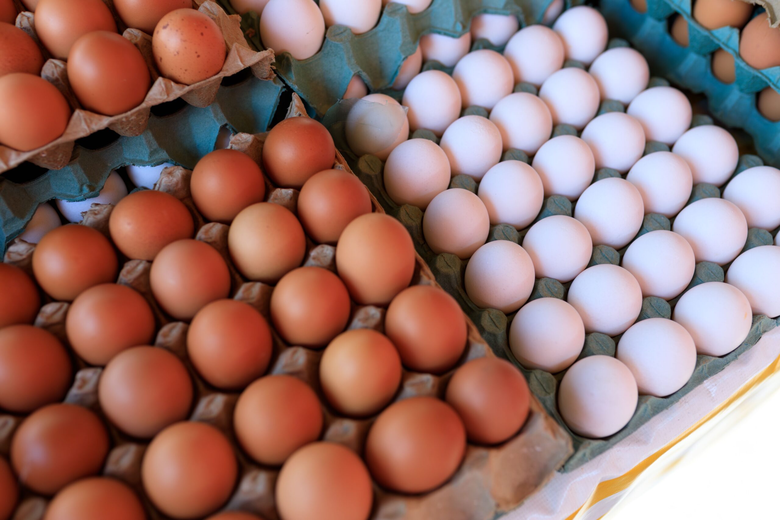 Egg variety